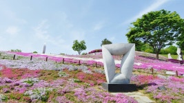 댕댕이들아 꽃구경 가자, 산청 생초국제조각공원으로!... 펫티켓 준수는 필수