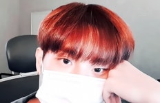 고양이랑 눈 마주치기 - 이대휘 카테고리