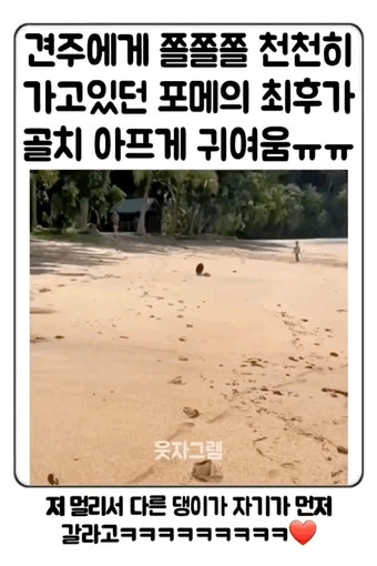 더쿠 -  강형욱, 한문철, 오은영을 한자리에 모이게 할 짤.gif