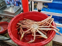 강원도 삼척 당일치기 여행, BTS 버터로 유명해진 맹방해변 : 클리앙
