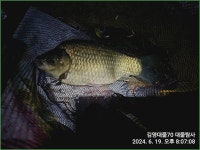 ◇ 화보조행기