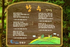 연제, 배산에 올라 - 일반 사진 - 부산고 19 동기회 연제, 배산에 올라