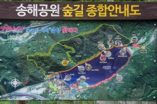 달성, 옥연지 송해공원 한바퀴 - -───♣회원자작사진 - 아름다운황혼열차(黃昏列車) 달성, 옥연지 송해공원 한바퀴