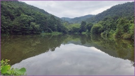 바람따라 구름따라 1268회( 기곡지) :: 토종붕어를 사랑하는 사람들