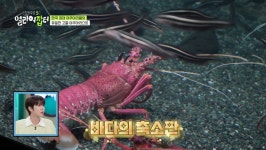 더쿠 - 대중 매체 영화 때문에 많은 사람들이 맹수로 오해하고 있다는 동물