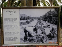 2023년 국내여행 - 동하의 힘찬새발걸음 231129, 9)제주여행 3일차, 제주 애월 귤농장체험&한림공원 관광 한바퀴 & 동문야시장 - 아내와 함께
