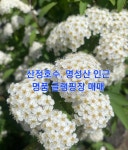 명성산. 산정호수인근 글램핑장 매매 - 전원주택·펜션 - 산골 전원주택이야기(전원 황토 농가주택 땅 토지 부동산 ) 명성산. 산정호수인근... 