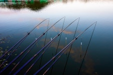 청춘어락 > 영흥도 내동낚시터 : 낚시사랑