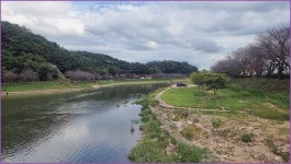 바람따라 구름따라 1383회( 산양천) :: 토종붕어를 사랑하는 사람들