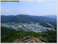 (경북 경산) 병풍산 ~ 금성산 ; 숲길 조사 (25.06.08) - 산행후기란 - 갈대의산이야기 (경북 경산) 병풍산 ~ 금성산 ; 숲길 조사 (25.06.08)