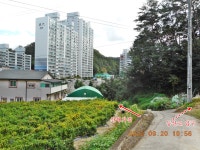 안동 다래등(294),감은산(250),무은산(245.1),향교산(239),깃대배기... 1),향교산(239),깃대배기(217),덤산(261.5),일출봉(278.3)