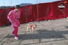 석진시🐹🐹🐹 - 방탄소년단(BTS) 카테고리 석진시&#x1f439;&#x1f439;&#x1f439; - 방탄소년단(BTS) 카테고리
