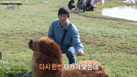 태계일주 시즌1에서 못한 소원 드디어 이뤘다는 기안 - 인스티즈(instiz) 이슈 카테고리 태계일주 시즌1에서 못한 소원 드디어 이뤘다는 기안