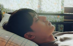 더쿠 - 돼지들아 잘자~
