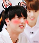 더쿠 - 🐹🌸석🐹🌸진🐹🌸시🐹🌸