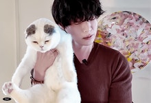 더쿠 - 안튭 소소한 일상 브이로그 .gif