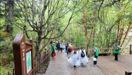 여행기 - 四川유람(3) 옥빛 황홀경, 구채구