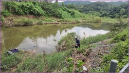 바람따라 구름따라 1375회( 안평천) :: 토종붕어를 사랑하는 사람들