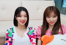 더쿠 - 사랑둥이 나비즈ㅠㅠ