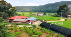 더쿠 - 이명우 연출 때깔좀 봐줘!!