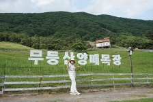 부산테마여행사