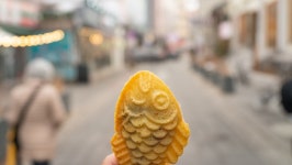 수원 산책 이야기