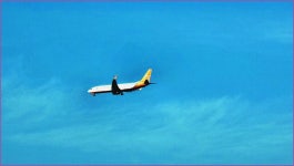 바람따라 구름따라 1221회( 매호천 ) :: 토종붕어를 사랑하는 사람들