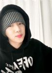 더쿠 - 쭈꾸미가 새우 먹는 짤.gif