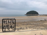 가을 옷을 입은 태안 천리포수목원