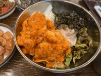 기본으로 물회랑 해물찜을 주는 안동 장수회도매센타 장수물회 2호점 대방어 회 먹방