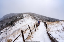 여행기 - 소백산 상고대 2020.12.26