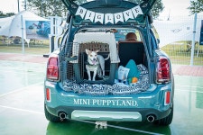 반려견과 함께하는 라이프스타일, 미니 퍼피 랜드(MINI PUPPY LAND)