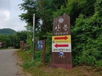반려견과 함께 갈 수 있는 양평 산음국립자연휴양림 방문기