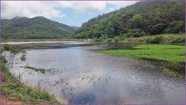 동행출조 :: 토종붕어를 사랑하는 사람들