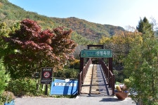 대전 상소동산림욕장에서 본, 가을이 그린 수채화 - 뽐뿌:자유게시판 대전 상소동산림욕장에서 본, 가을이 그린 수채화