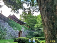 성밖길9_2(여름꽃3_바람, 21/07/19, 서문-제6암문-남문... 21/07/19, 서문-제6암문-남문, Mariage DAmour / George Davidson)