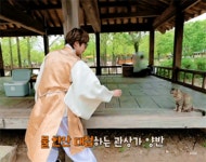 더쿠 - 햄찌랑 고양이 졸귀다ㅋㅋㅋㅋ