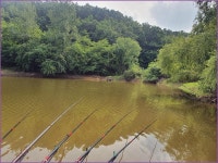 동행 출조 9 :: 토종붕어를 사랑하는 사람들