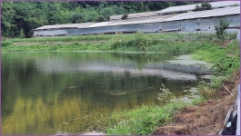 바람따라 구름따라 1170회( 원골지) :: 토종붕어를 사랑하는 사람들