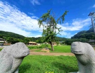 성밖길9_2(여름꽃3_바람, 21/07/19, 서문-제6암문-남문... 21/07/19, 서문-제6암문-남문, Mariage DAmour / George Davidson)