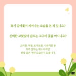 교사의 성장 파트너, 쌤동네 [다독다독] 그림책에도 봄이 왔어요