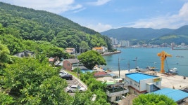 거제 연꽃 수국 명소 및 근포마을 땅굴 투어, 통영 나부동산(122.4m)... 삼성산 기암괴석 및 100대 명산 안내(산정상 조망) 거제 연꽃 수국 명소... 