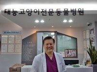 고양이전문 동물병원, 태능동물병원을 가다