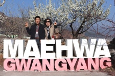 부산테마여행사