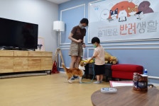 노원 댕댕하우스, 3월부터 신규 교육체험 프로그램 운영