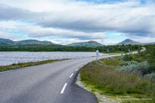 노르웨이 자동차 여행 - Rondane (Norwegian Scenic Route) : 클리앙