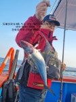 (東)동해조황 - 삼치, 참치,우당탕탕 대박난손맛,,,하하하!! 서울에서 가장 가까운 동해바다낚시 속초 양양 대선단배낚시,