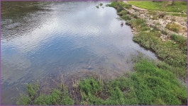 바람따라 구름따라 1383회( 산양천) :: 토종붕어를 사랑하는 사람들