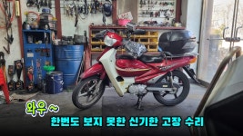 대림 시티에이스2 오토바이 이건 한번도 보지 못한 신기한 수리 - 바이크 갤러리