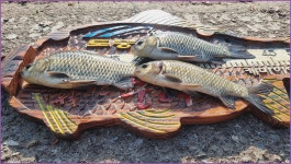 바람따라 구름따라 1383회( 산양천) :: 토종붕어를 사랑하는 사람들